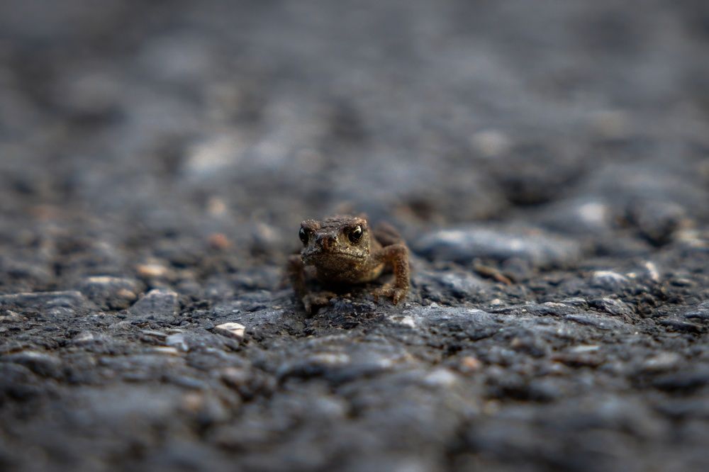 Photograph by Хабаров Сергей