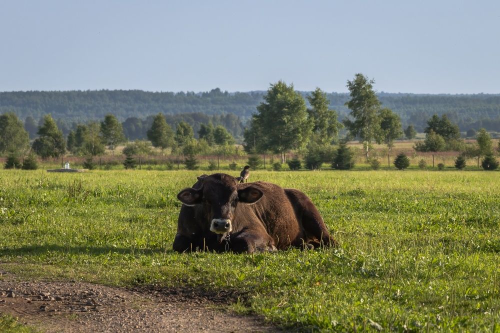 Photograph by Хабаров Сергей