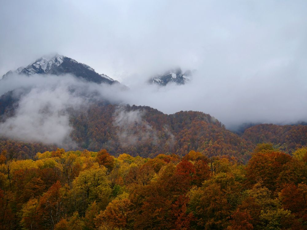 Photograph by Серафима Силина