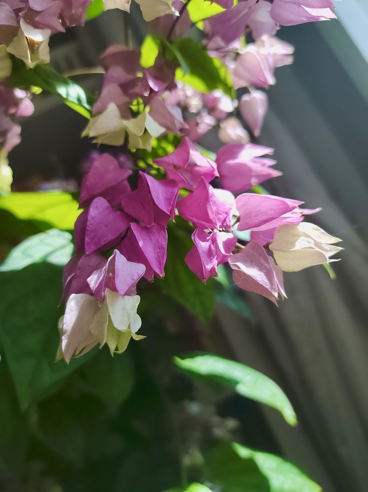 Photograph by Елена Шелуханова