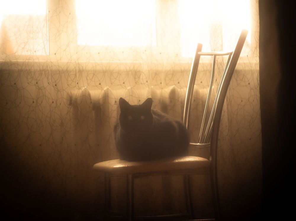 Photograph by Хабаров Сергей