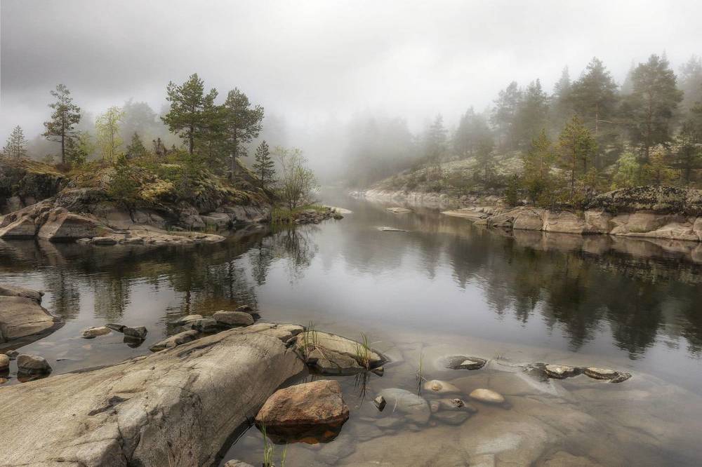 Фотография автора Галина Хвостенко