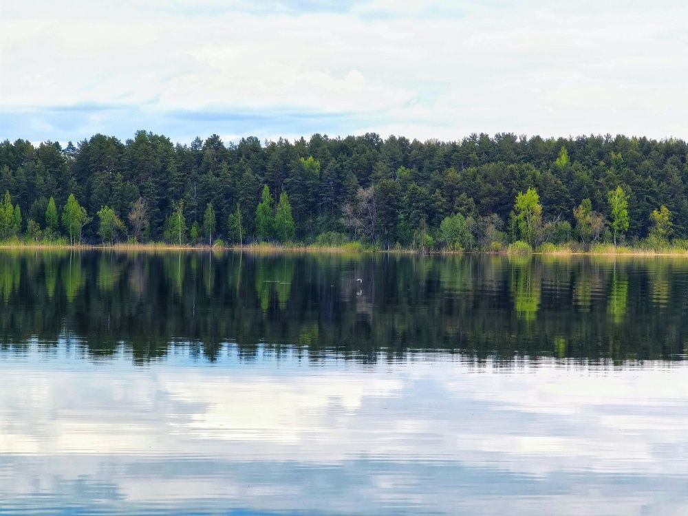 Photograph by Серафима Силина