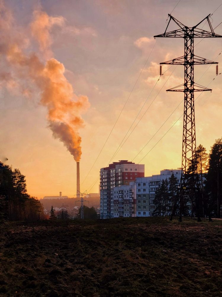 Photograph by Алина