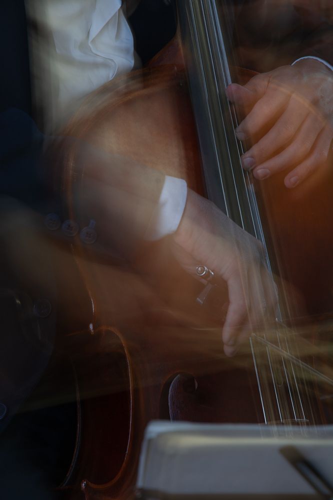 Photograph by Мария Елисеева