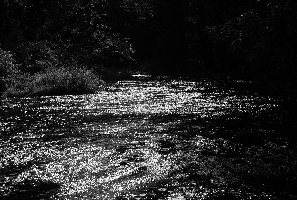 Photograph by Вячеслав Швецов