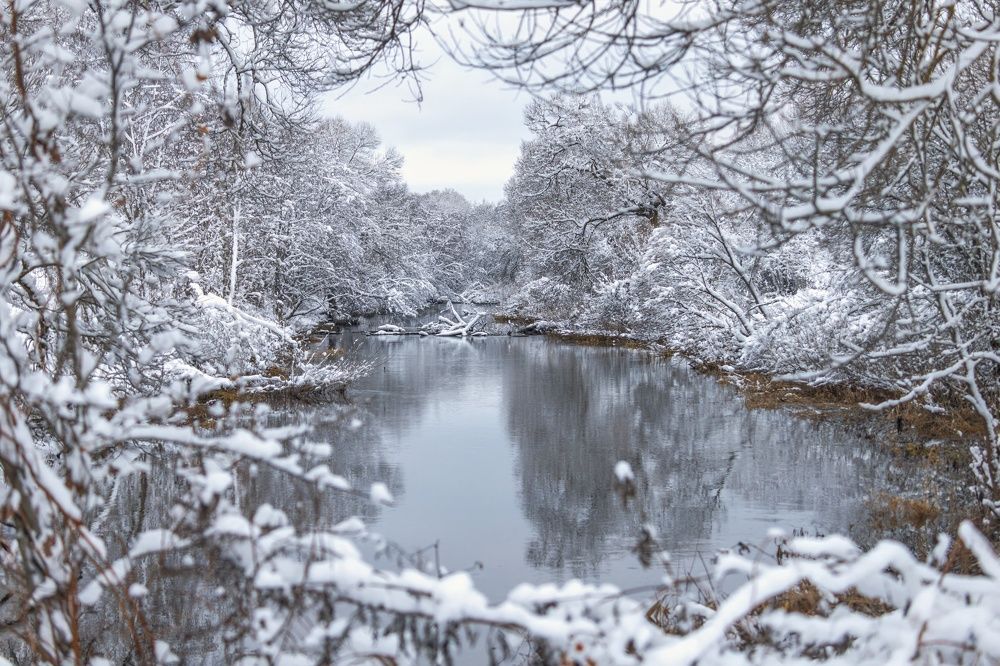 Photograph by Хабаров Сергей