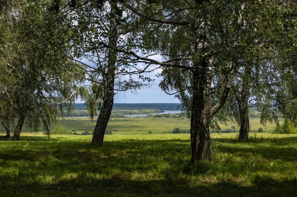 Photograph by Хабаров Сергей