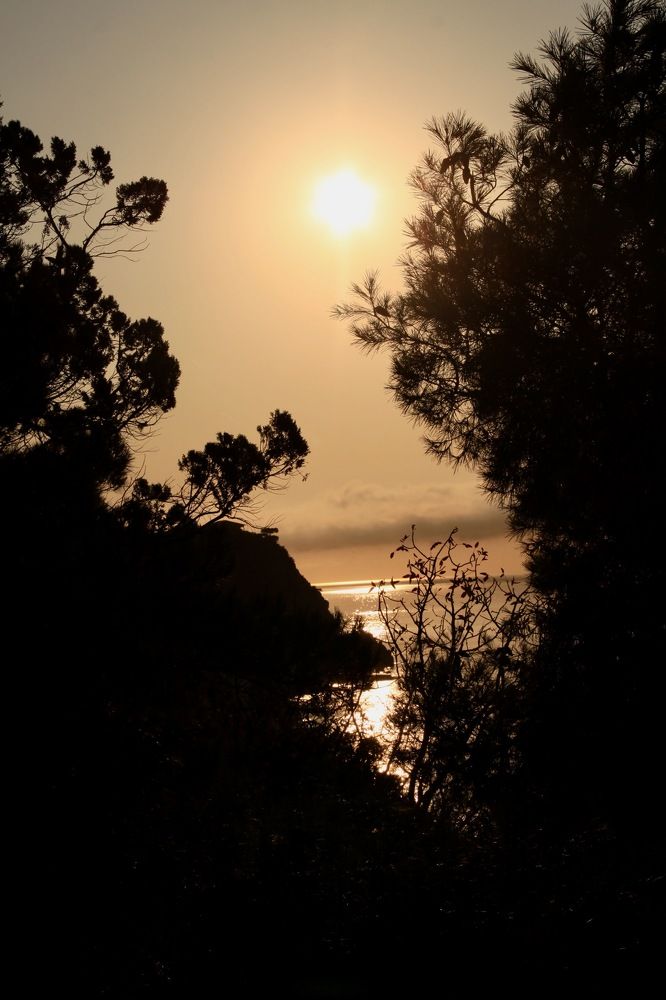 Photograph by Елена Шелуханова