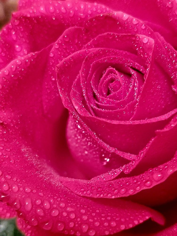 Photograph by Нина Паршина