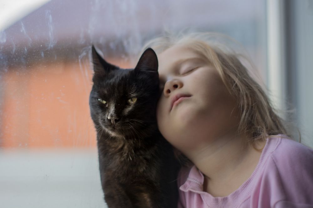 Photograph by Елена Плотникова