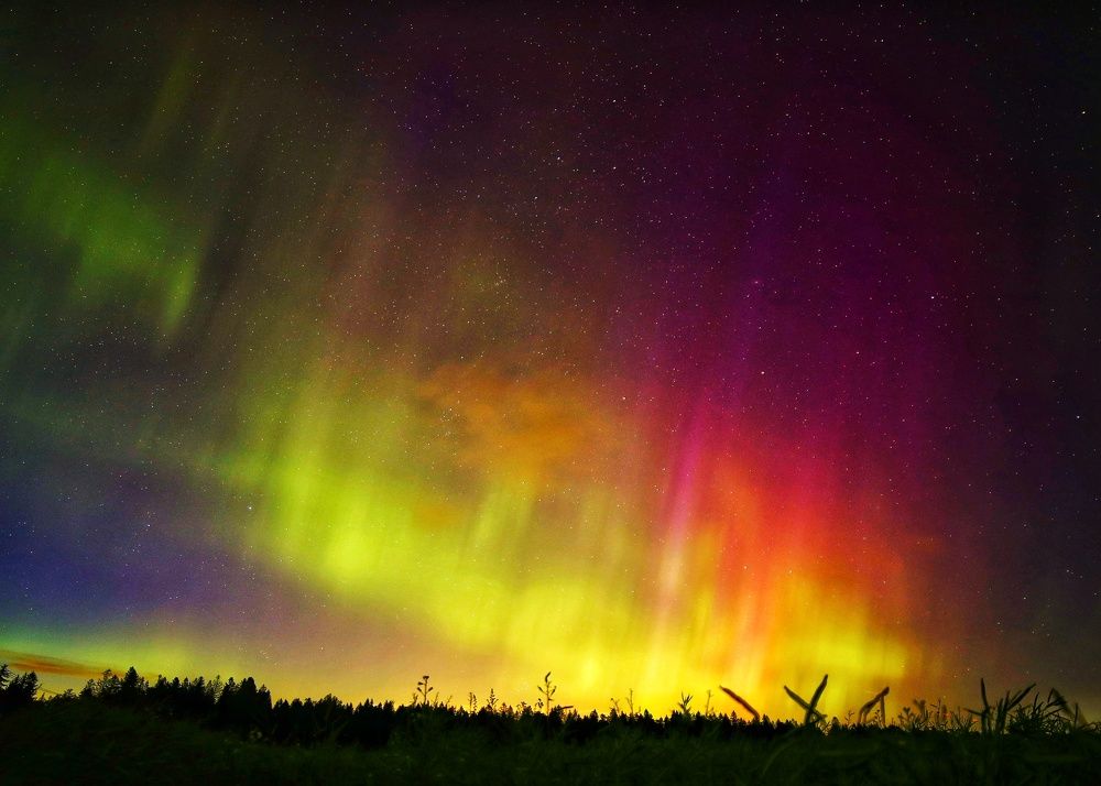 Photograph by Владимир Борозенец