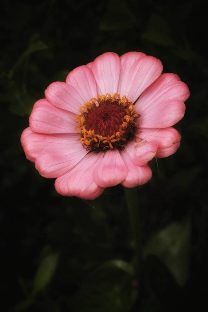 Photograph by Владимир Борозенец