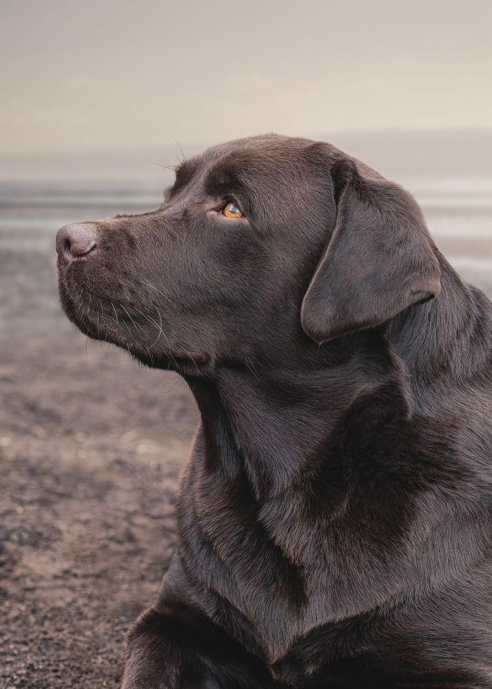 watching the birds flying