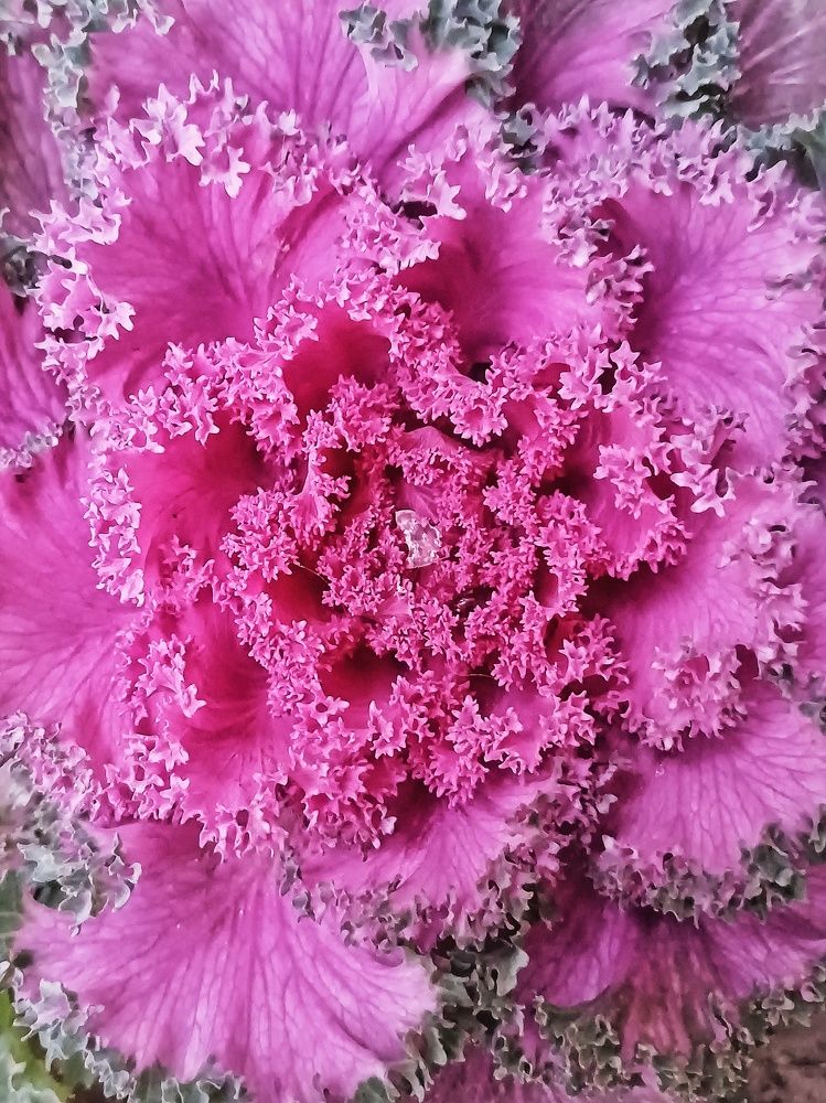 Photograph by Anastasiya Danilova