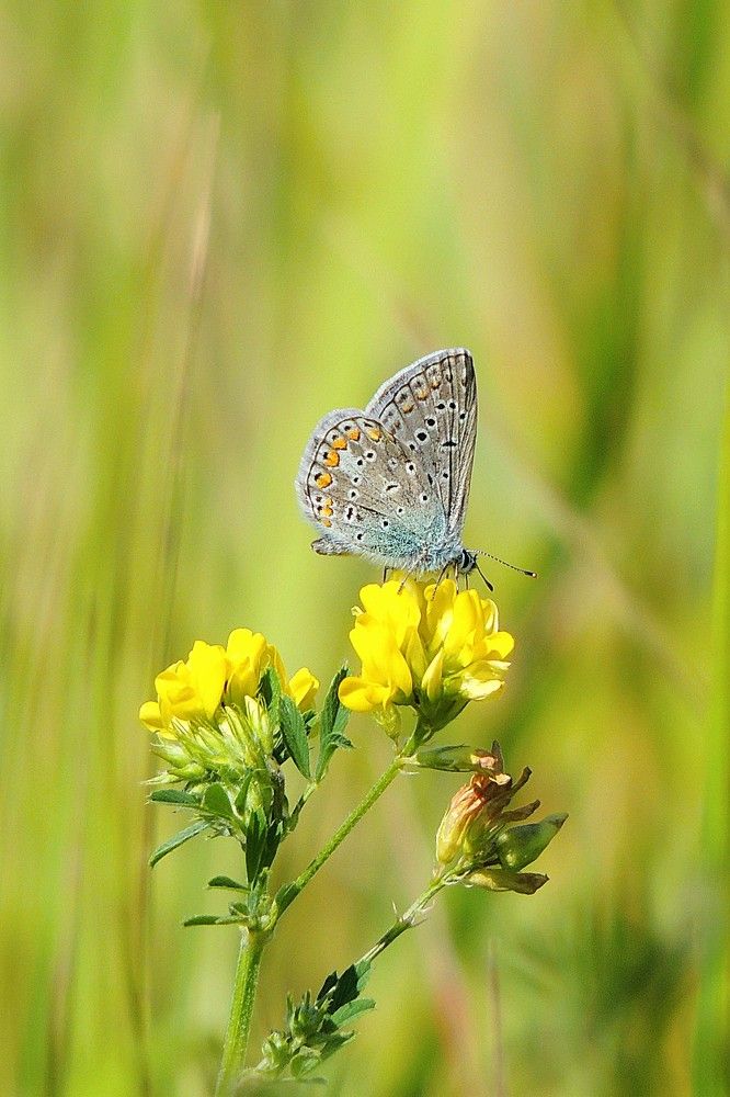 Photograph by Оксана Митяшова