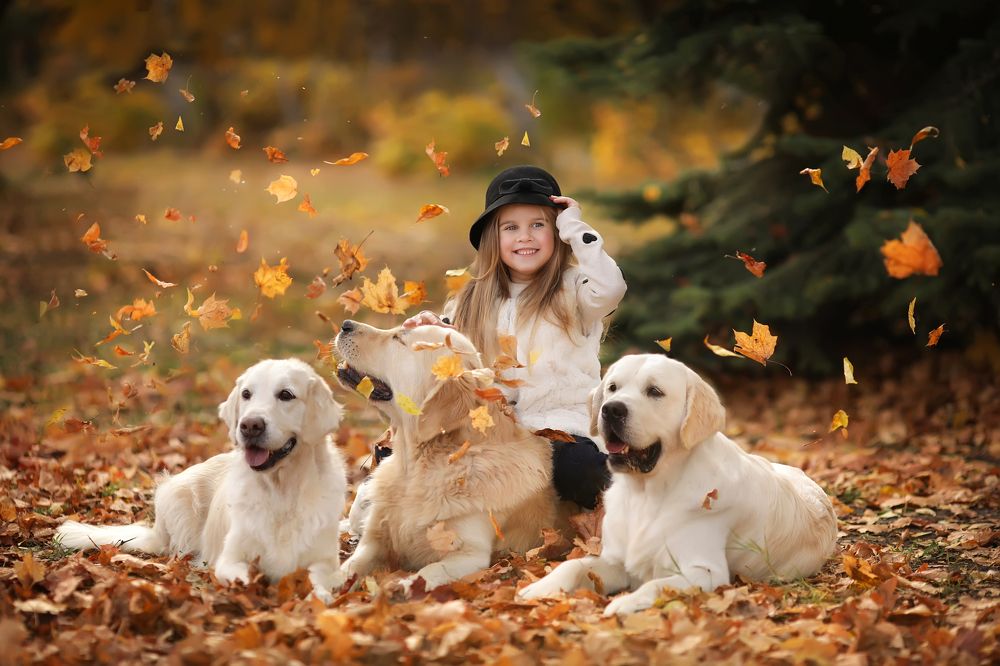 Золотая осень