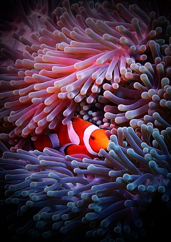 Photograph by Кирилл Леднев