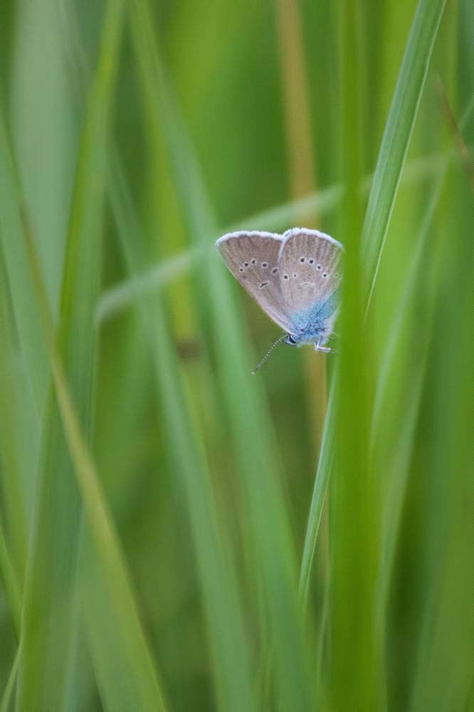 Photograph by Сипаева Катерина