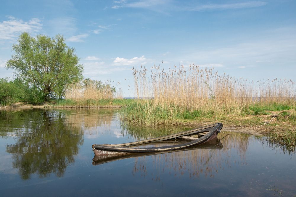 Photograph by Сипаева Катерина