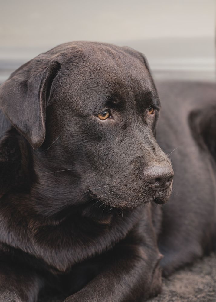 thinking about very important things