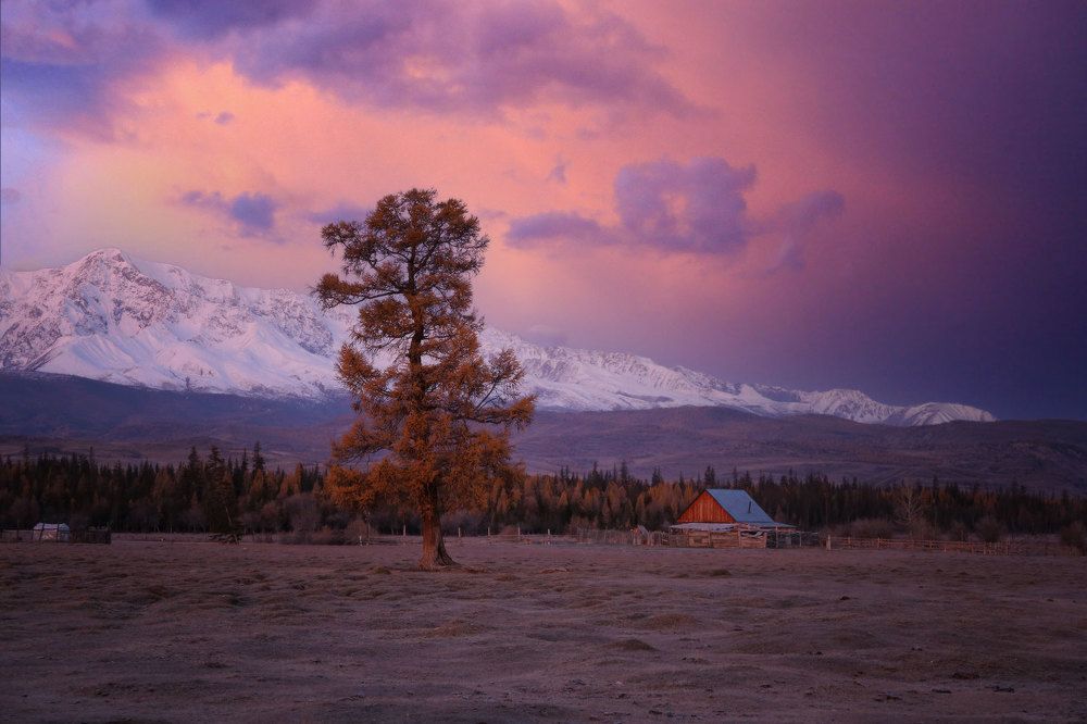 Photograph by Галина Хвостенко