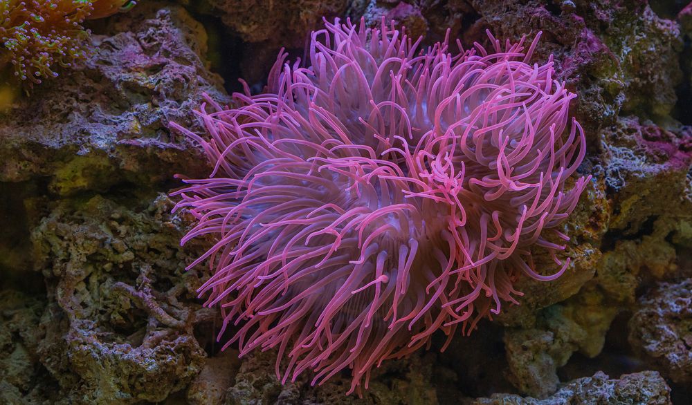 Photograph by yuri kutukov