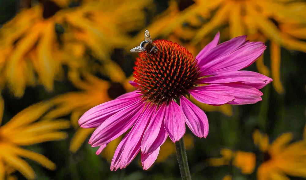 Photograph by yuri kutukov