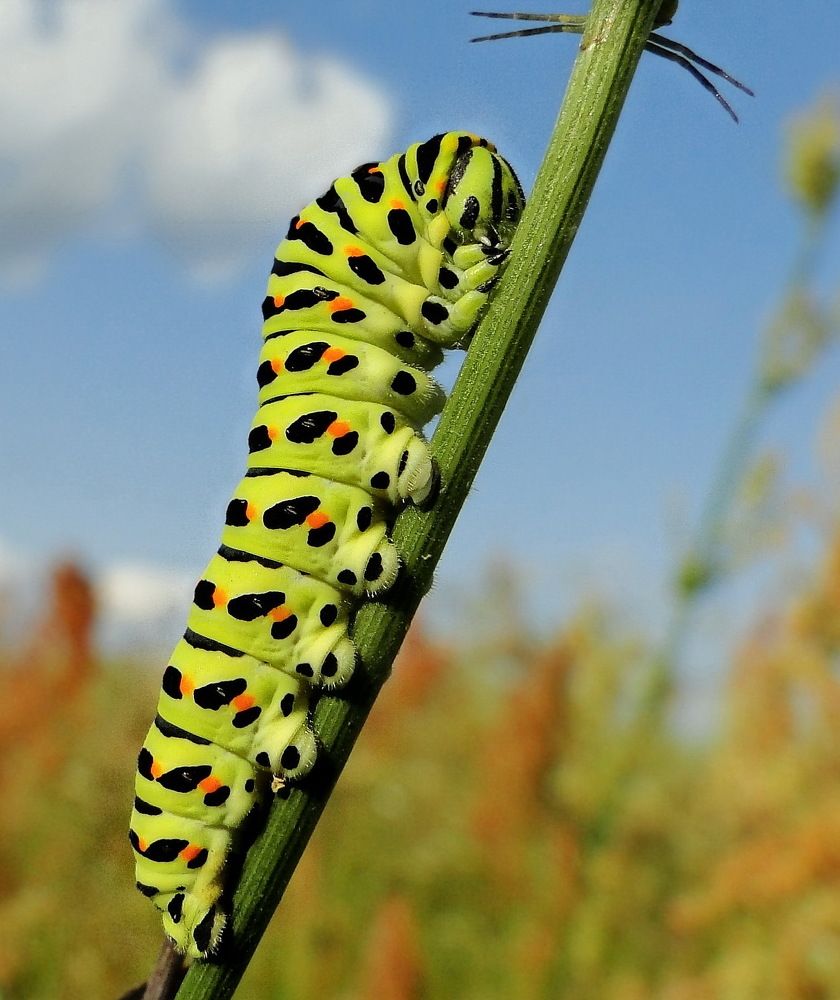 Photograph by Светлана