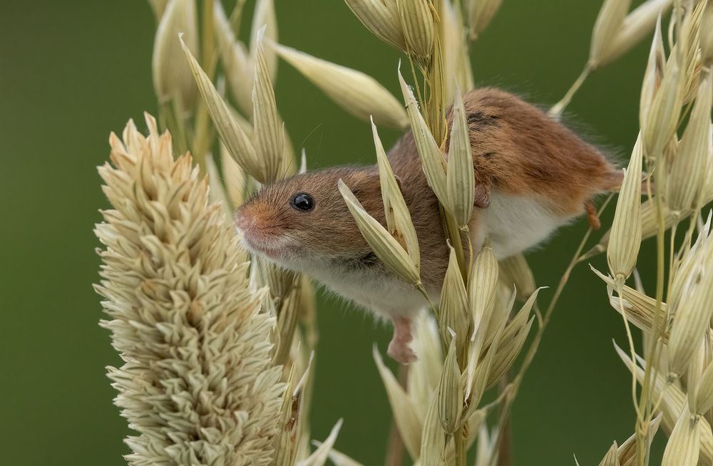 Фотография автора MARIA KULA