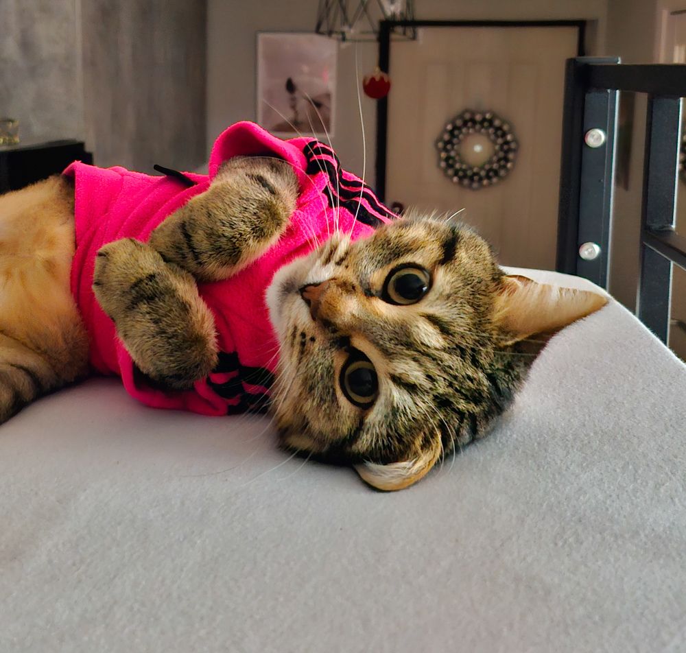 Photograph by Игорь Чечин