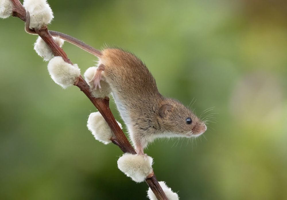 Фотография автора MARIA KULA