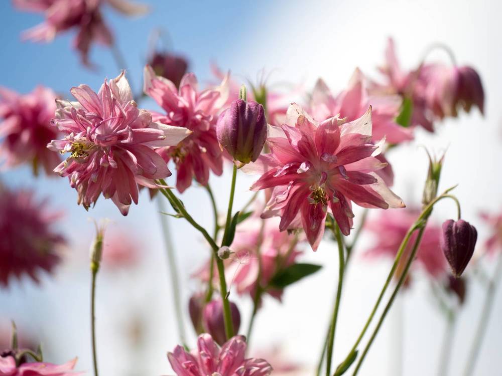 Photograph by Руслан Гончар