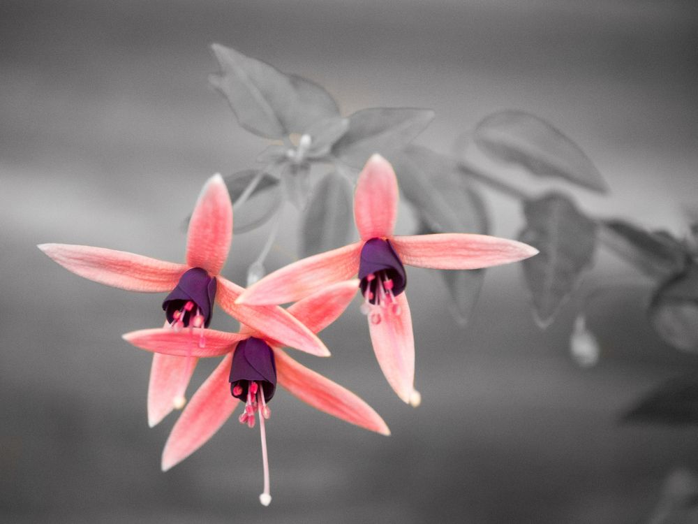 Photograph by Руслан Гончар