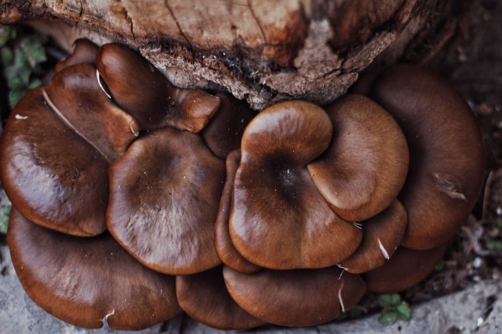 Photograph by Anastasiya Danilova