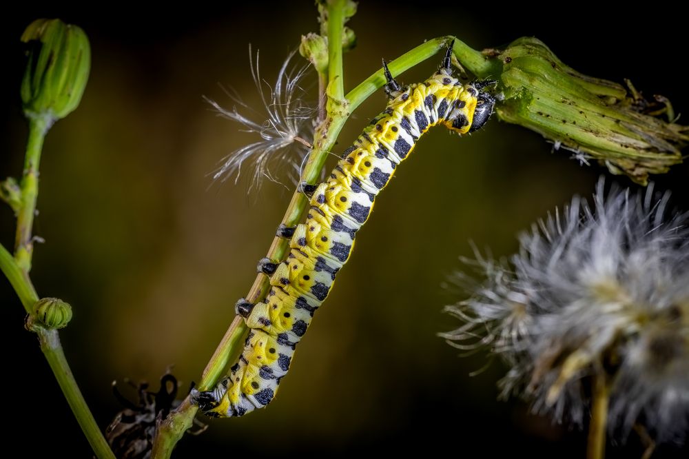 Photograph by Egor Ugrof