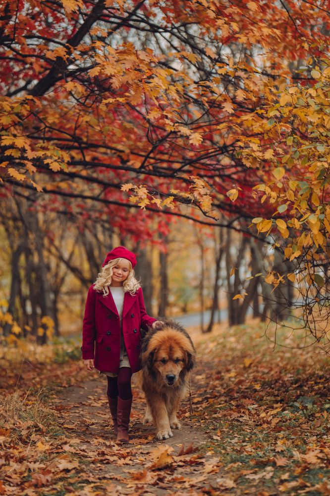 Photograph by мария анатольевна