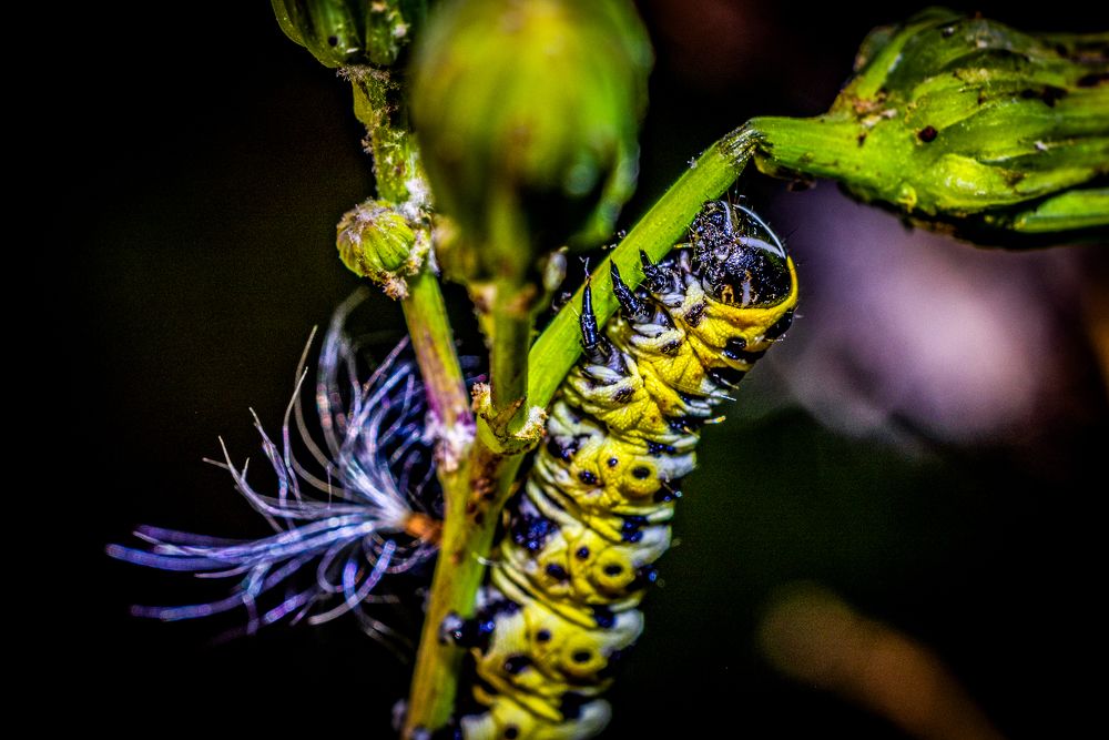 Photograph by Egor Ugrof