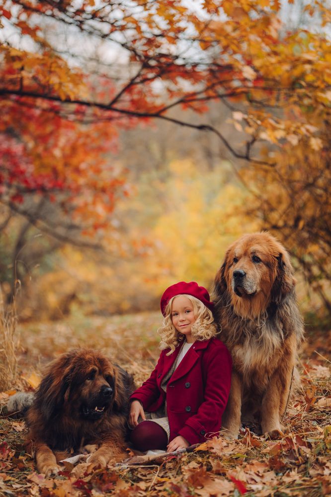 Photograph by мария анатольевна