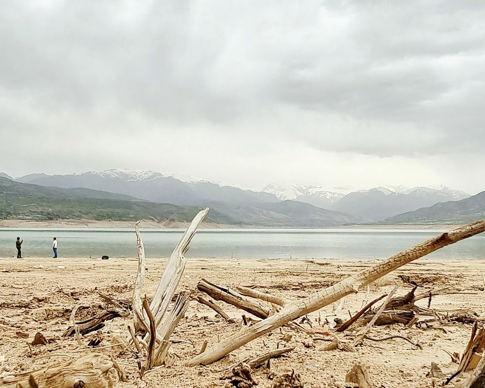 Photograph by Асад Ибадов