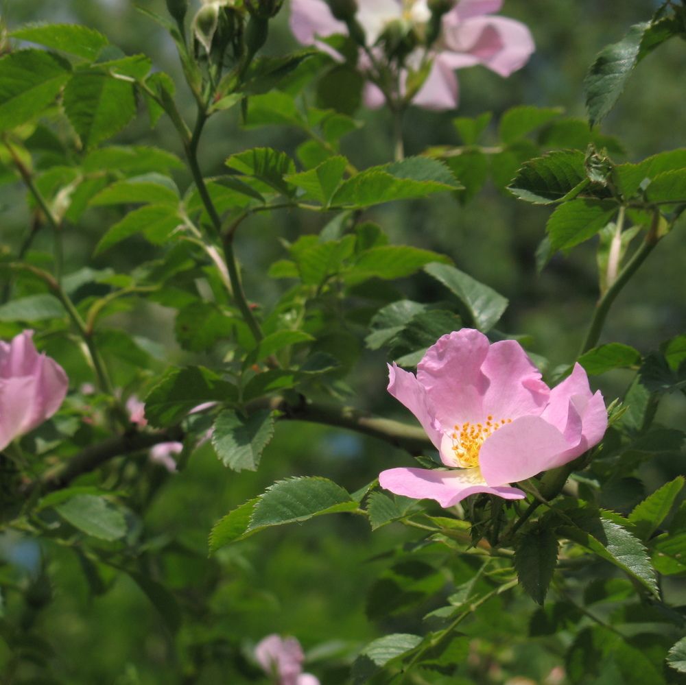 Фотография автора Евгений