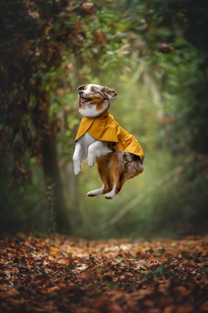 Photograph by Ирина Голомб