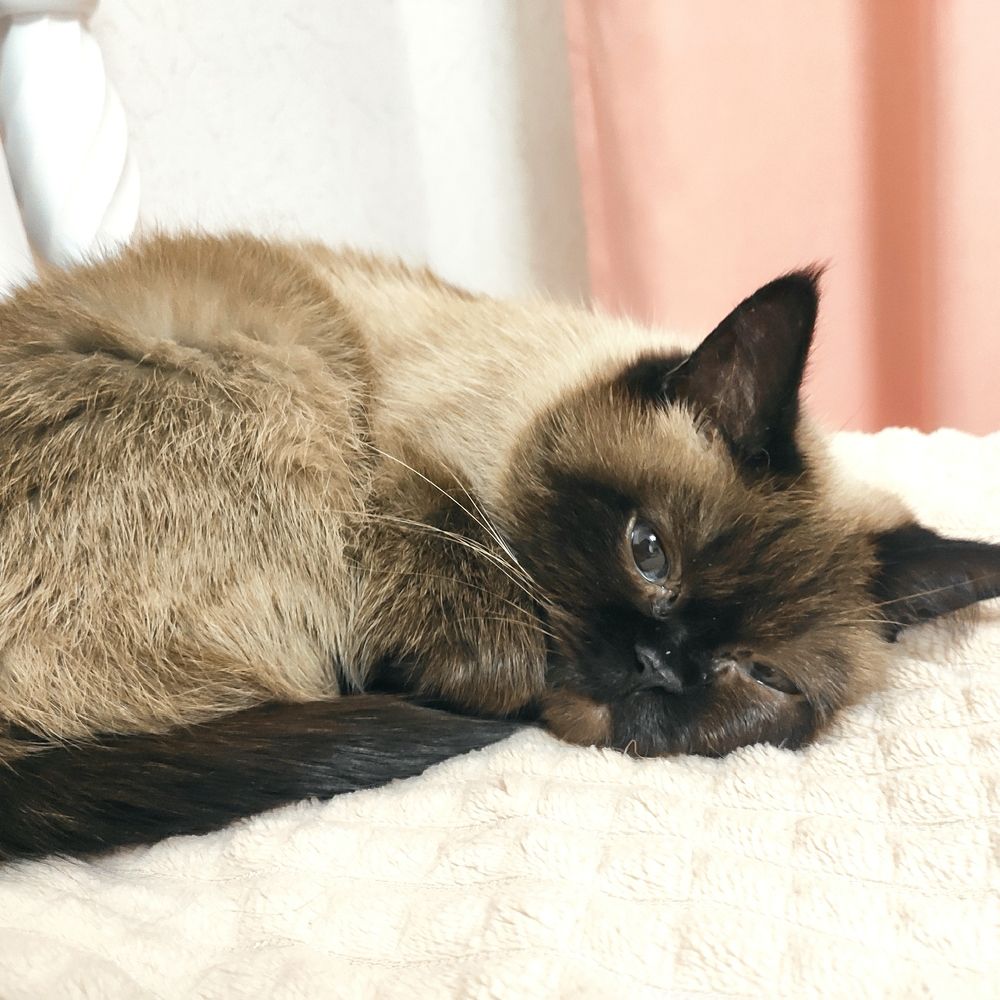 Photograph by Юлия Гетманская