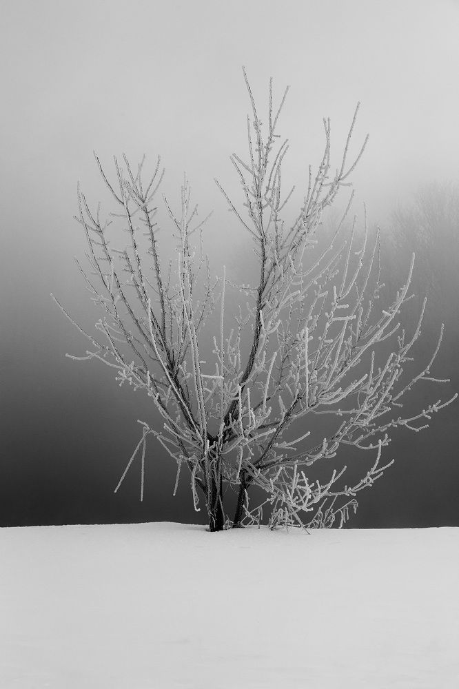 Photograph by Сергей Гарифуллин