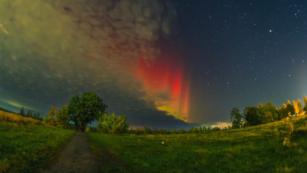 Фотография автора Григорий