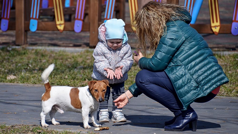 У меня больше ничего нет!