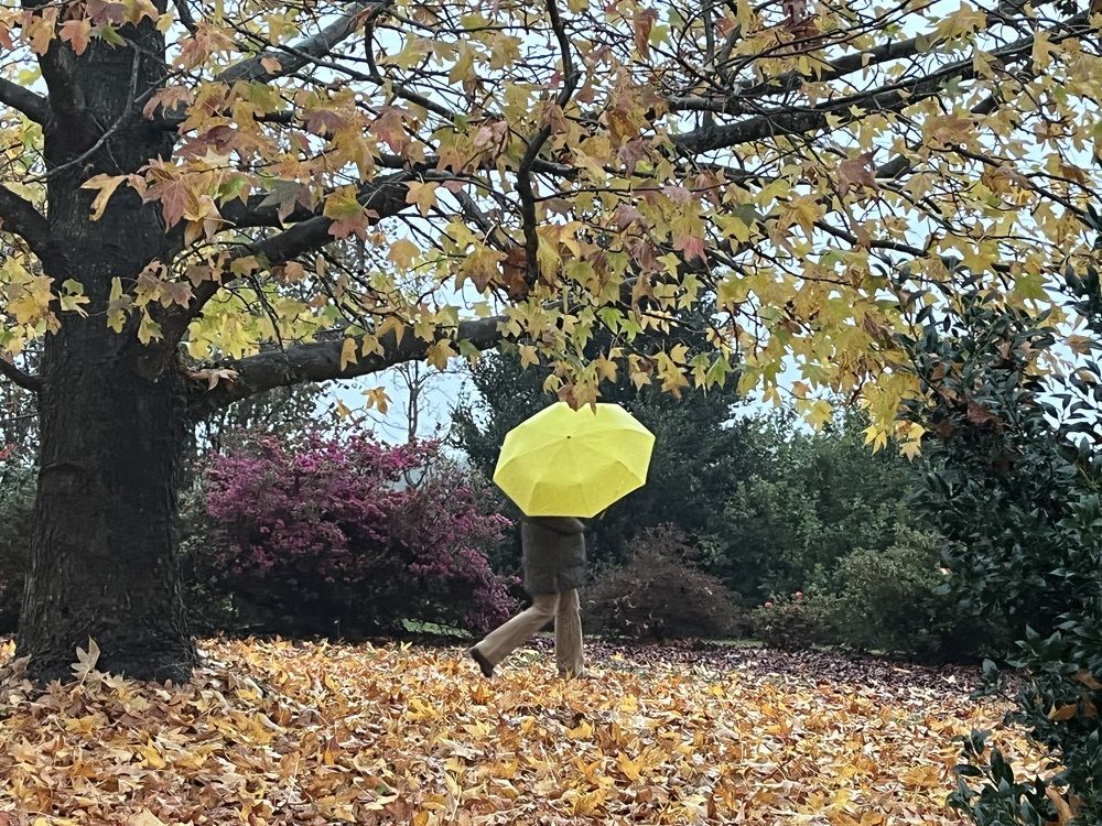 Фотография автора Gabriel diaz