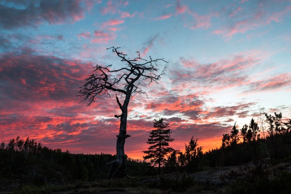 Photograph by Крицак Ольга
