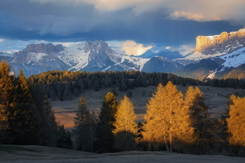 Photograph by Алекс Римский