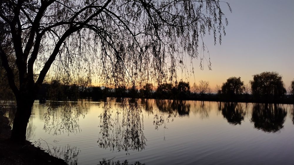 Photograph by Евгения Самвеловна Григорян